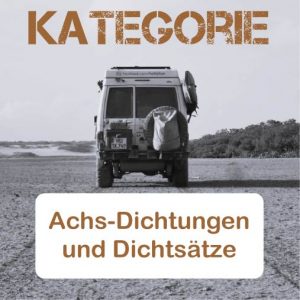 Achs-Dichtungen / Dichtsätze